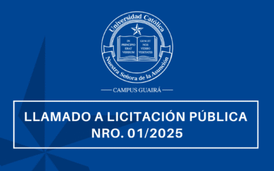 LLAMADO A LICITACION PUBLICA NRO. 01/2025